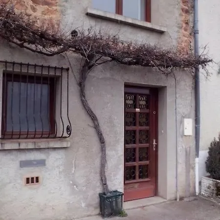 Le Sud De St Just D'avray Saint-Just-d'Avray